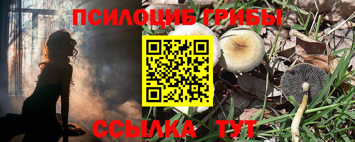 Галлюциногенные грибы мицелий  Псилоцибиновые грибы Psilocybine cubensis  Вход с VPN  Жуковский 